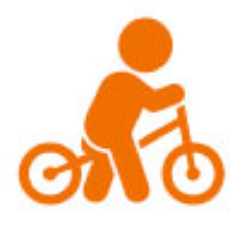 Immagine per la categoria Biciclette Senza Pedali