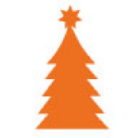 Immagine per la categoria Alberi di Natale Verdi
