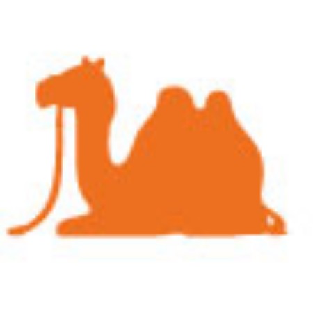 Immagine per la categoria Statuine Animali