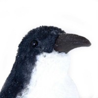 Pinguino Decorativo con Glitter