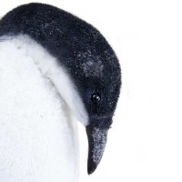Pinguino Decorativo con Glitter