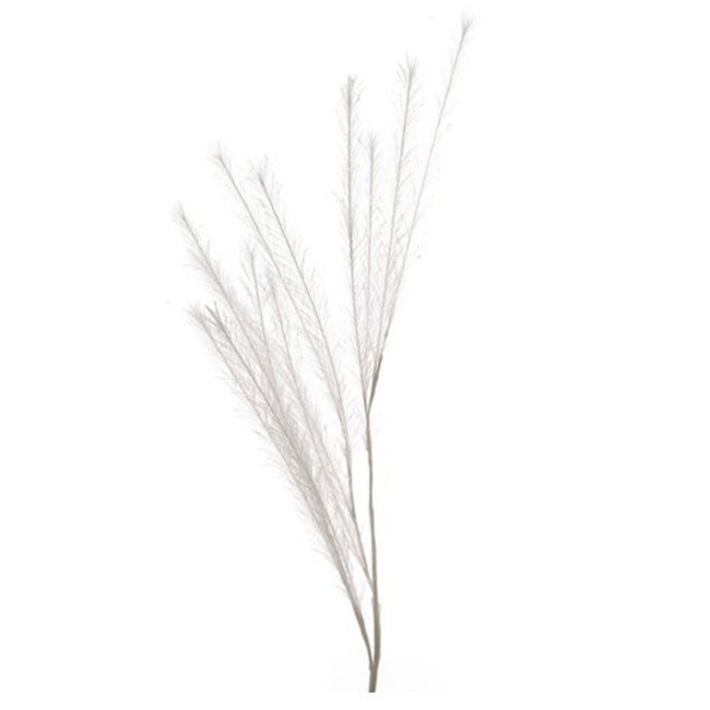 Decorazione Natalizia Piuma 80 cm Glitter Bianco