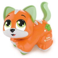 Immagine di Gattino Cercacoccole