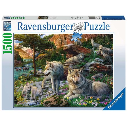 Puzzle 1500 Lupi in Primavera della Ravensburger