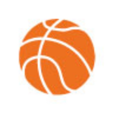 Immagine per la categoria Basket