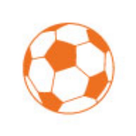 Immagine per la categoria Calcio