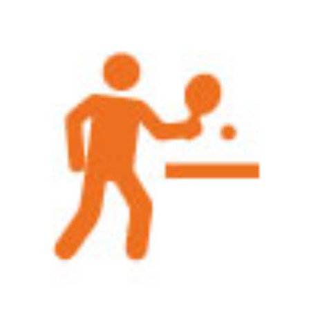Immagine per la categoria Tavoli da Ping Pong e Accessori
