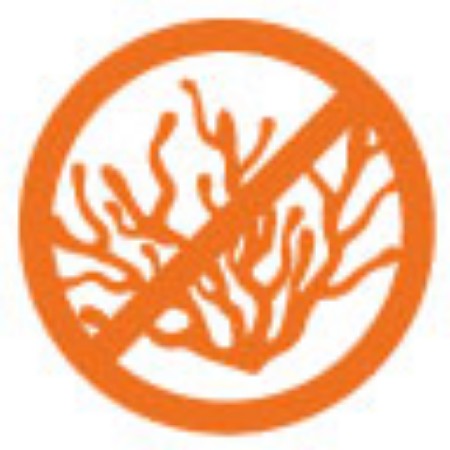 Immagine per la categoria Antialghe