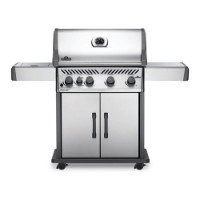 Barbecue a Gas Rogue RXT525SIB