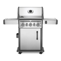 Barbecue a Gas Rogue RSE425RSIB