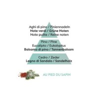 Au Pied Du Sapin - Ricarica per Lampada Catalitica Maison Berger
