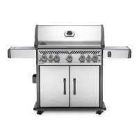 Barbecue a Gas Rogue RSE625RSIB