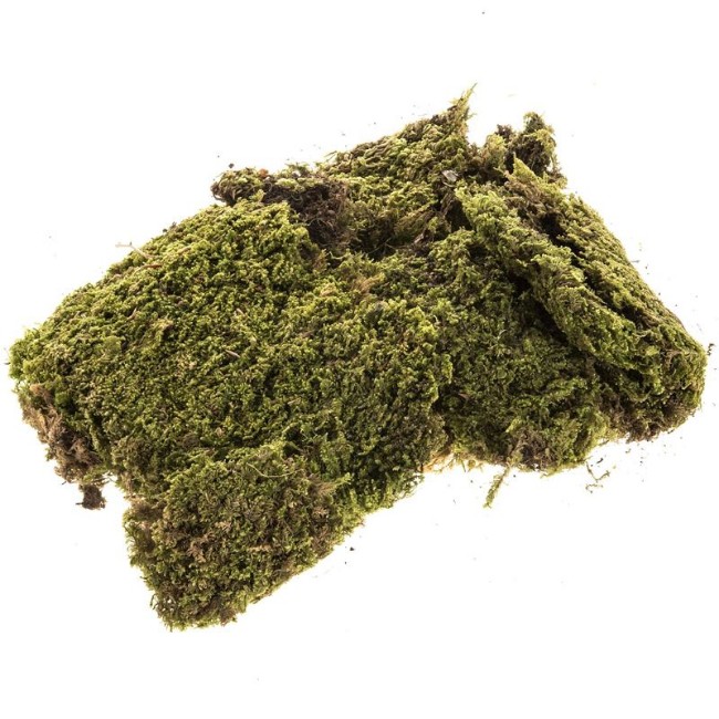 Muschio Naturale a Tappeto per Presepe 90g 