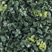 Siepe Artificiale Sferica Deauville Foglia Bosso 38cm Verdelook