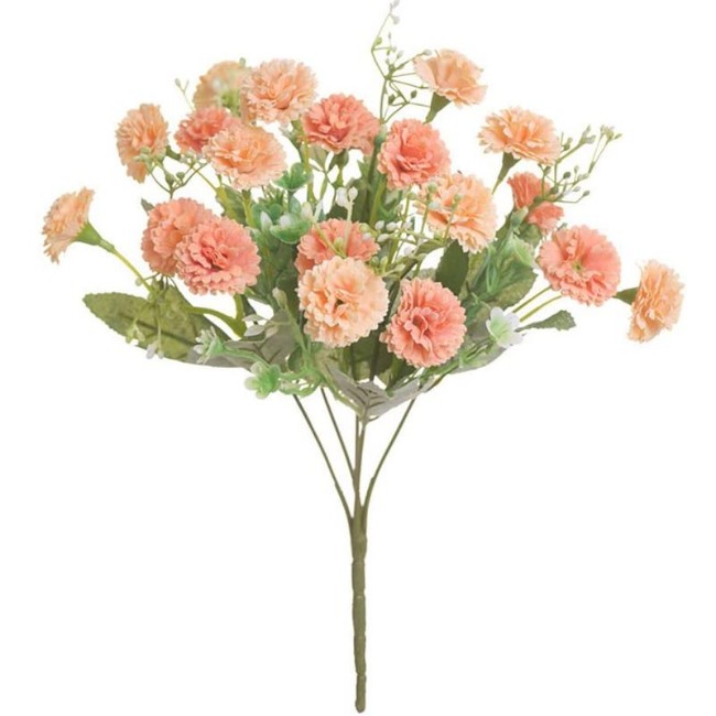 Immagine di Peony Pineapple Bush 62 cm. 