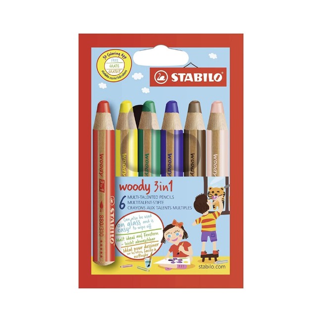 6 Pastelli Woody 3 in 1