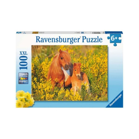 Puzzle Pony Shetland 100 Pezzi XXL Ravensburger