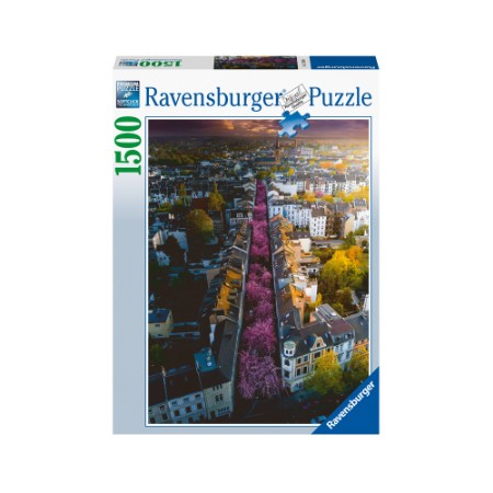 Puzzle Bonn in Fiore 1500 Pezzi  Ravensburger