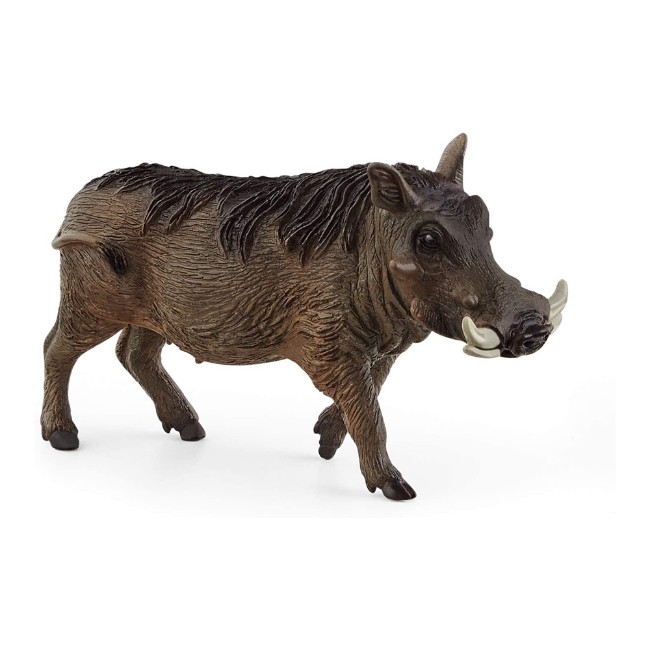 Facocero 14843 Schleich