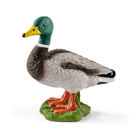 Maschio di Anatra 13824 Schleich