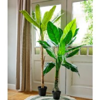 Pianta Finta Parlour Verde in Vaso Kaemingk