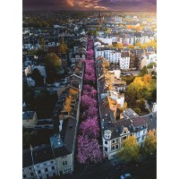 Puzzle Bonn in Fiore 1500 pezzi Ravensburger
