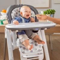 Seggiolone Pappa Polly Progres5 Red di Chicco