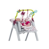 Kit 0 mesi per Seggiolone Polly Progres5 di Chicco
