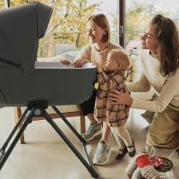 Inglesina Supporto Standup per Culla Electa/Aptica/Aptica XT e Ovetto CAB/Darwin di Inglesina