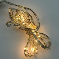 Prequ Catena Luminosa, 20 nano led, 1,9 metri, Luce Calda, Luce Fissa, Cavo Modellabile, a batteria