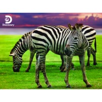 Prime 3D Puzzle Lenticolare 3D Zebra 500 pezzi