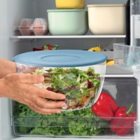 Guzzini Spin&Store Centrifuga per Insalata con Coperchio 26 cm