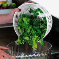 Guzzini Spin&Store Centrifuga per Insalata con Coperchio 26 cm