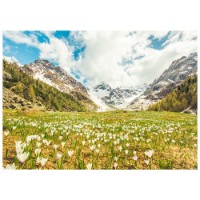 Ravensburger Puzzle Primavera in Valmalenco 1000 pezzi