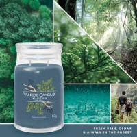 Yankee Candle Signature Candela in Giara Grande Bayside Cedar 90 Ore