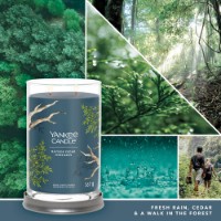 Yankee Candle Signature Candela in Tumbler Grande Bayside Cedar 100 Ore