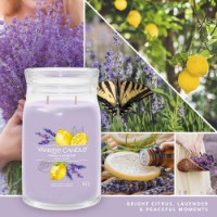Yankee Candle Signature Candela in Giara Grande Lemon Lavender 90 Ore