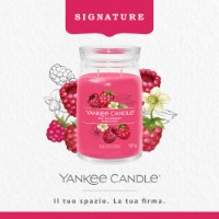 Yankee Candle Signature Candela in Giara Grande Red Raspberry 90 Ore