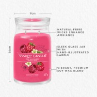 Yankee Candle Signature Candela in Giara Grande Red Raspberry 90 Ore