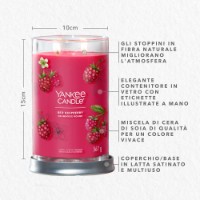 Yankee Candle Signature Candela in Tumbler Grande Red Raspberry 100 Ore