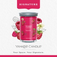 Yankee Candle Signature Candela in Tumbler Grande Red Raspberry 100 Ore