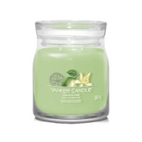 Yankee Candle Signature Candela in Giara Media Vanilla Lime 50 Ore