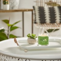 Yankee Candle Signature Candela in Giara Media Vanilla Lime 50 Ore