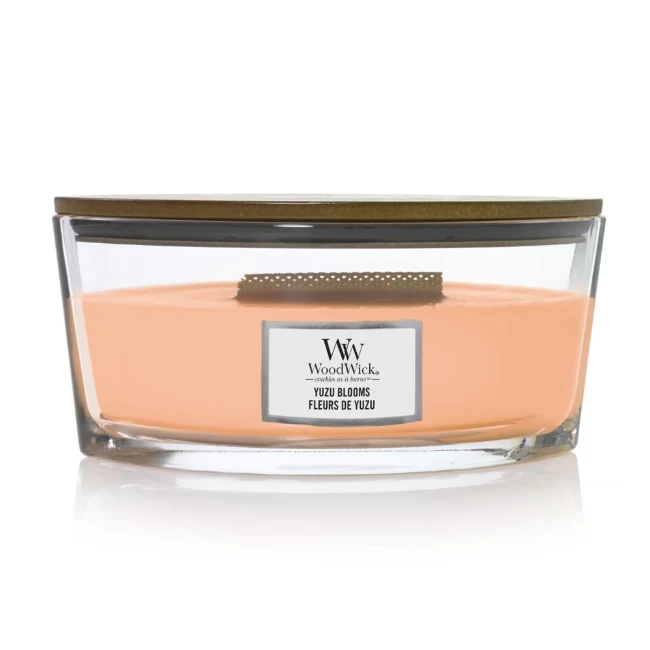 Candela WoodWick Profumata Fraser Fir - Stoppino Scoppiettante Come Un Camino - Durata Fino A 50 Ore - Foto 7