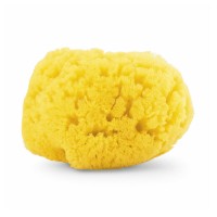 Chicco Spugna Marina per Neonati e Bambini - taglia Media