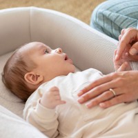 Inglesina Baby Nest Welcome Pod, Riduttore Culla e Letto per Neonato 