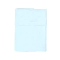 Questibimbi Federa Guanciale Cuscino Culla e Carrozzina 22x32cm - Azzurro