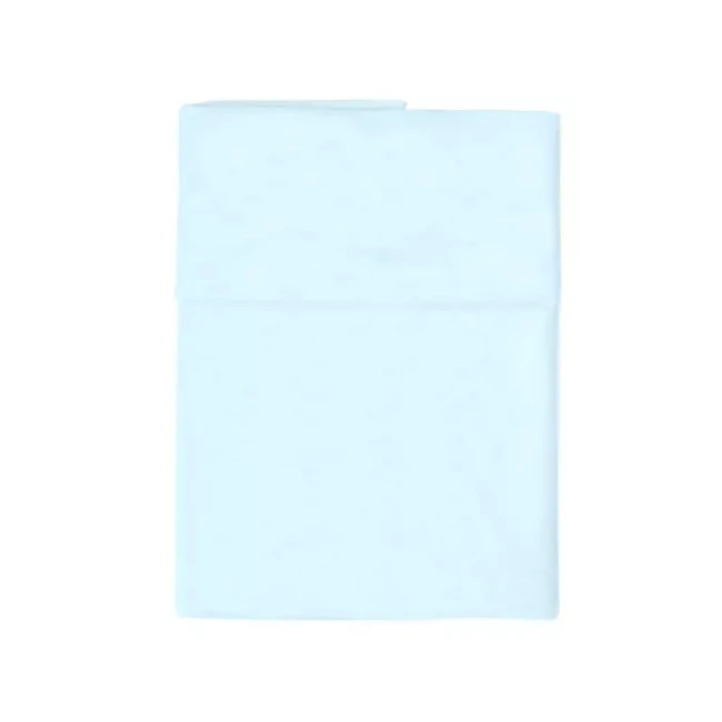 Questibimbi Federa Guanciale Cuscino Culla e Carrozzina 22x32cm - Azzurro