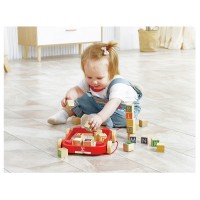 Hape Trainabile con Blocchi