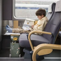 Stokke Valigia Bambino BedBox JetKids trasformabile in Lettino - Golden Olive